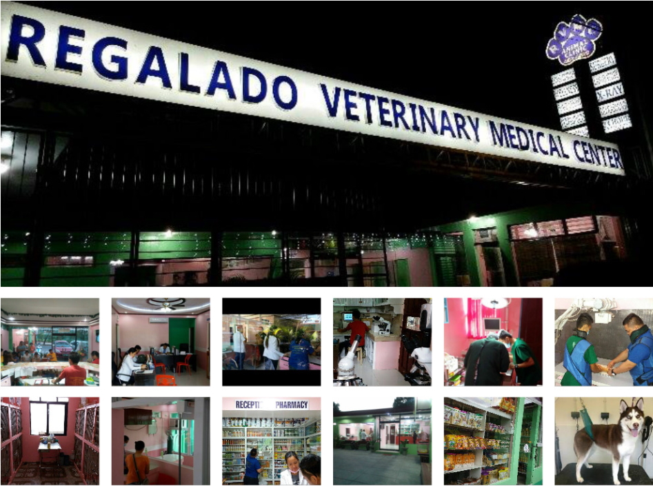 Veterinary medical clinic near 2024 me